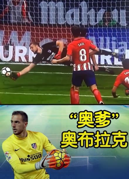 阵容华丽 阵容华丽