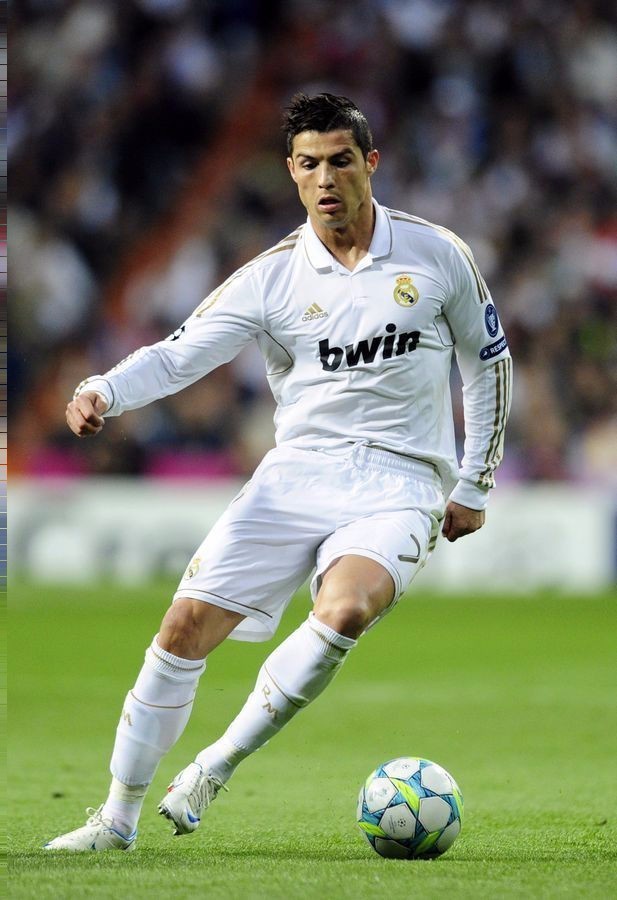 可持续性 可持续性